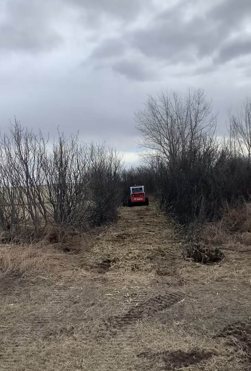 A red truck stands parked in the middle of a lush green field.